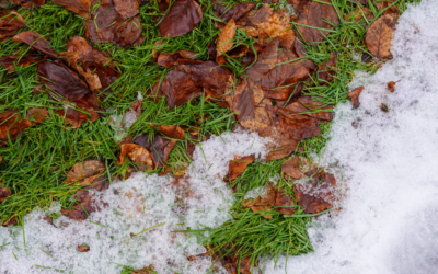 How to maintain your place of worship during autumn