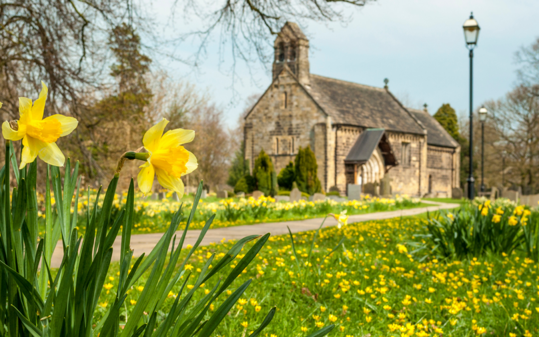 Our maintenance guide to preparing your property for spring