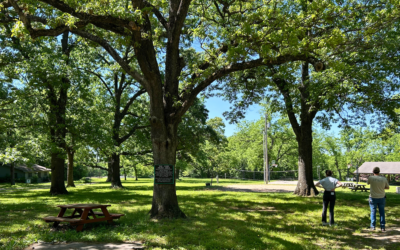 Partnership with DCEF ensures continuation of beloved Disciples camp